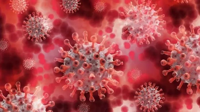 Coronavirus updates in Andhra Pradesh: ఏపీలో గత 24 గంటల్లో రికవరీలు చూస్తే..