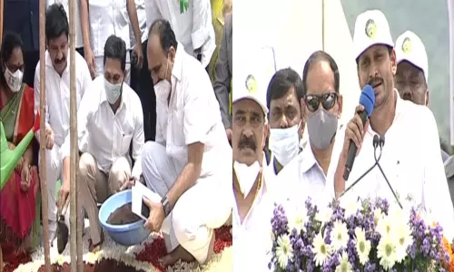 Jagananna Pacha Thoranam Starts in AP : జగనన్న పచ్చ తోరణం కార్యక్రమం ప్రారంభం