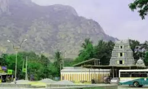 Appalaya Gunta Sri Venkateswara Temple History: అప్పలాయ గుంట ఆలయ రహస్యం Appalaya Gunta Sri Venkateswara Temple History: అప్పలాయ గుంట ఆలయ రహస్యం