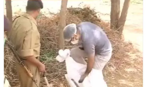 ED Raids on Ashok Gehlots brother Home: ముఖ్యమంత్రి  గెహ్లాట్ సోదరుడి ఇంటిపై ఈడీ దాడులు