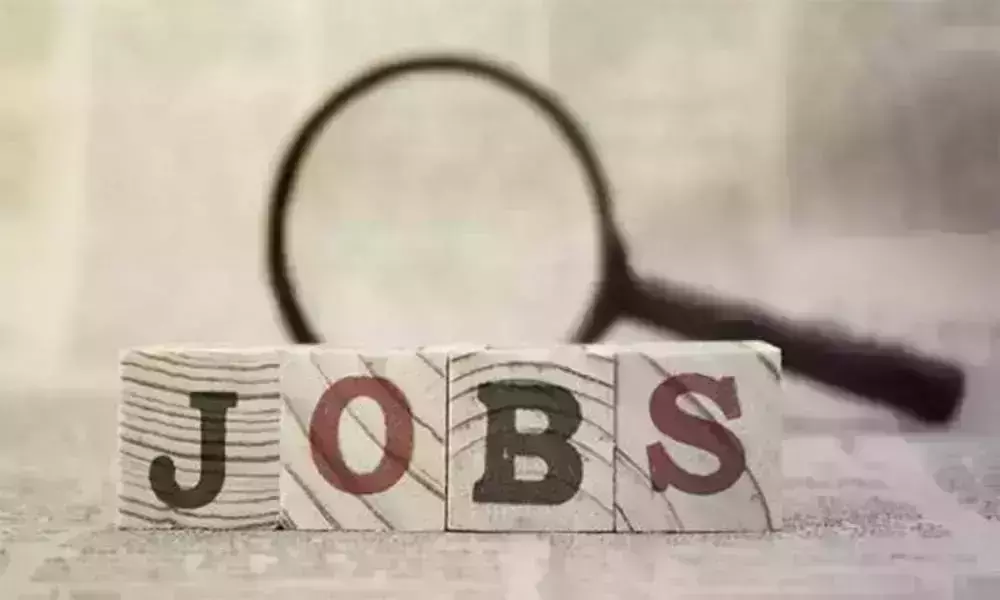 CSL Job Notification 2020: సీఎస్ఎల్లో 358 అప్రెంటిస్ ఖాళీలు CSL Job Notification 2020: సీఎస్ఎల్లో 358 అప్రెంటిస్ ఖాళీలు