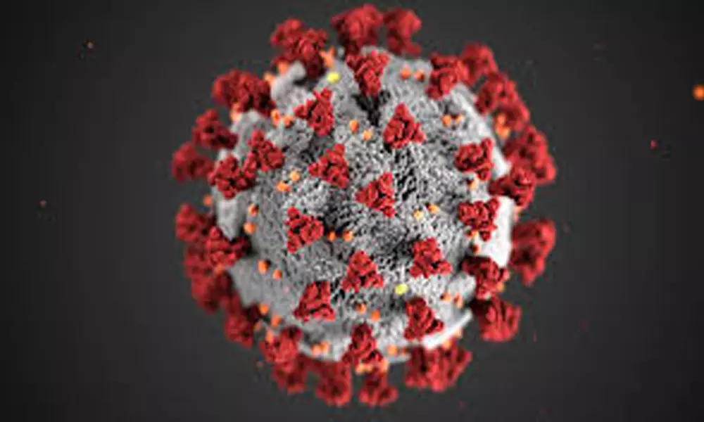 Coronavirus Effect AP in Top 5: కరోనా కేసులలో టాప్ ఫైవ్ లో ఏపీ!