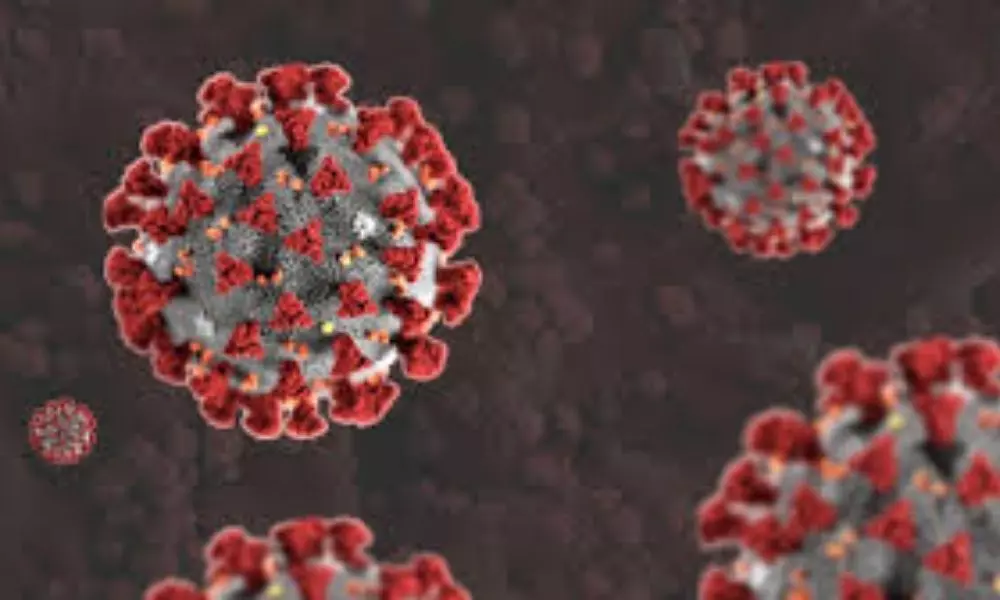 Coronavirus Updates in India: భారత్‌లో కొత్తగా 48,661 కరోనా పాజిటివ్‌ కేసులు