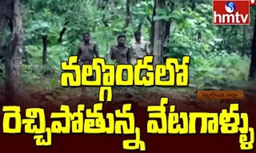 Nalgonda District Forest Hunters: నల్గొండలో రెచ్చిపోతున్న వేటగాళ్ళు