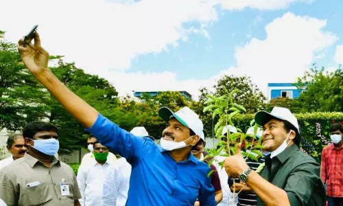 Chiranjeevi Participated in Green india Challenge: గ్రీన్ ఇండియా ఛాలెంజ్లో చిరు, పవన్లు Chiranjeevi Participated in Green india Challenge: గ్రీన్ ఇండియా ఛాలెంజ్లో చిరు, పవన్లు