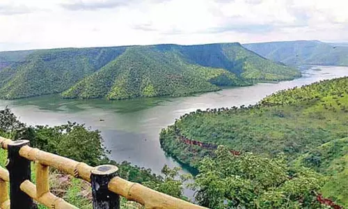 Rayalaseema Lift Irrigation Project: రాయలసీమ ఎత్తిపోతలకు టెండర్లు.. మరోవైపు చేపట్టొద్దని ఎన్జీటీ ఆదేశాలు