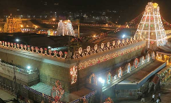 శ్రీవారి ఆలయంలో ఈనెల 30 నుంచి పవిత్రోత్సవాలు శ్రీవారి ఆలయంలో ఈనెల 30 నుంచి పవిత్రోత్సవాలు