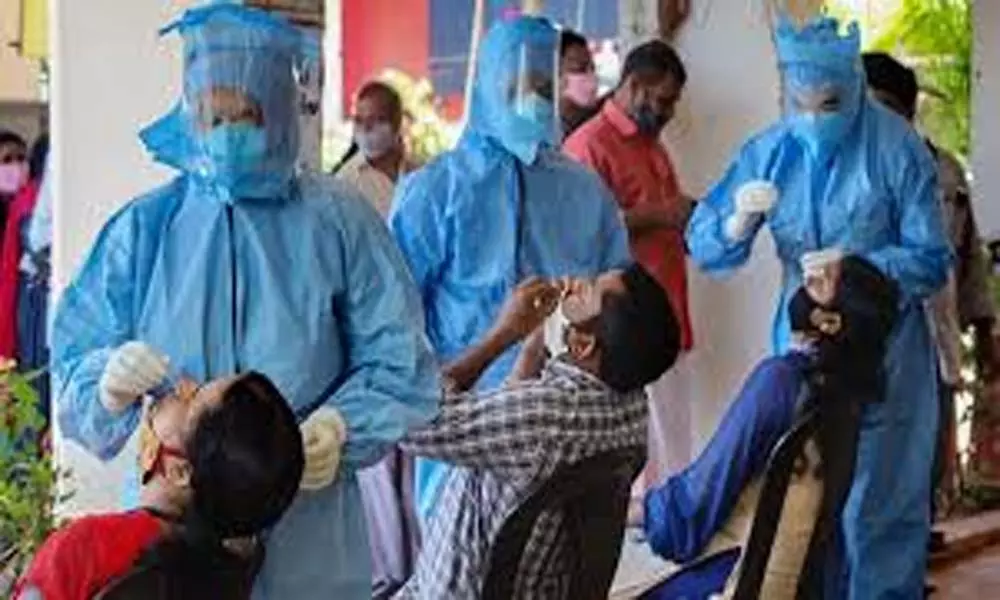 Andhra govt. Sets Prices for Coronavirus Tests: ఏపీలో కరోనా పరీక్షల ధరలను నిర్ణయించిన ప్రభుత్వం