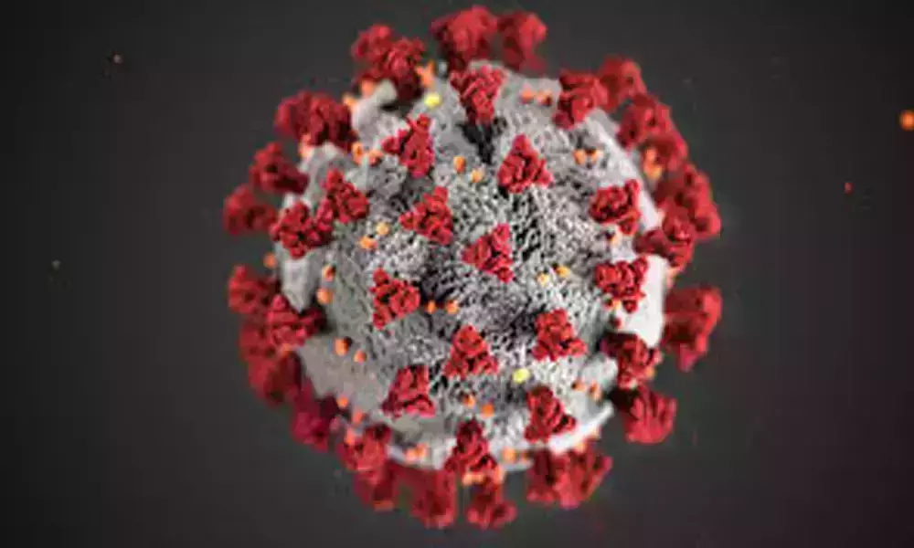 Coronavirus Updates in AP: 24 గంటల్లో 7,948 కొత్త కేసులు.. 58 మంది మృతి..
