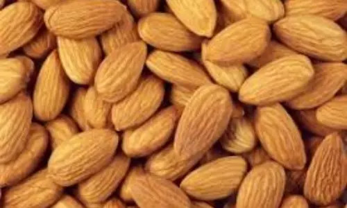 Almond Nutrition Facts: కరోనా ప్రభావంతో బాదంకు భలే గిరాకీ Almond Nutrition Facts: కరోనా ప్రభావంతో బాదంకు భలే గిరాకీ