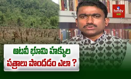 అటవీ భూమి హక్కుల పత్రాలు పొందడం ఎలా ?