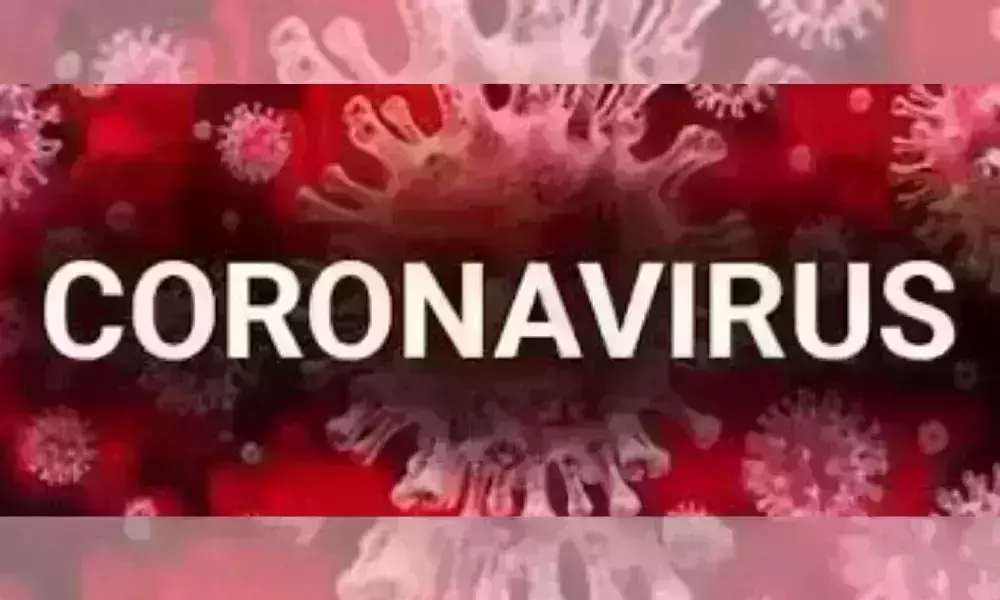 Private Hospital Coronavirus Patient Bill: కరోనా రోగికి 17.5లక్షల బిల్లు
