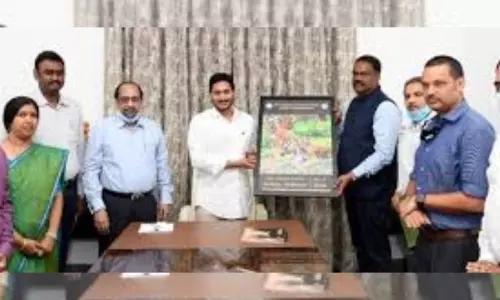 International Tiger Day 2020 Poster:  పులుల సంరక్షణలో ఏపీ ముందంజ.. అటవీశాఖను పొగిడిన సీఎం జగన్