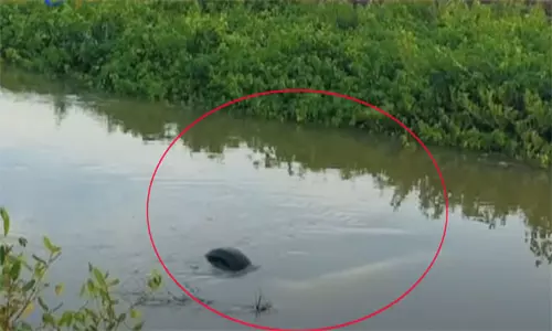 Car Accident at Nizampatnam: కాల్వలోకి దూసుకెళ్లిన కారు: ఇద్దరి మృతి Car Accident at Nizampatnam: కాల్వలోకి దూసుకెళ్లిన కారు: ఇద్దరి మృతి