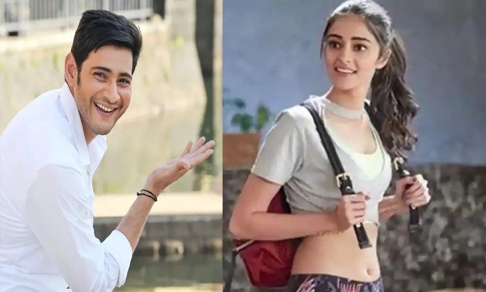 Ananya Pandey With Mahesh Babu : మహేష్ సరసన విజయ్ దేవరకొండ హీరోయిన్?