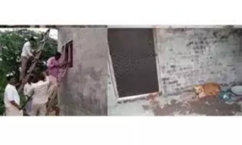 Dog Locked Door From Inside: గదిలో దూరి గడియ పెట్టుకున్న శునకం
