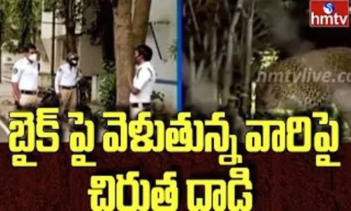 Cheetah in Tirumala Ghat Road: బైక్ పై వెళుతున్న వారిపై చిరుత దాడి