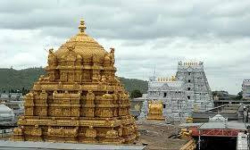 తిరుపతిలో సంబరాలు తిరుపతిలో సంబరాలు