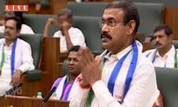 చంద్ర‌బాబుపై వైసీపీ ఎమ్మేల్యే ఫైర్‌