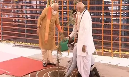 Modi plants a Parijat sapling: అయోధ్యలో మోదీ నాటిన మొక్క ఇదే..