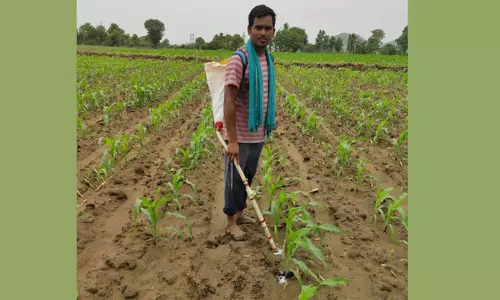 Fertilizer Gun: ఎరువులు వేసే గన్.. యువ రైతు ఆవిష్కరణ