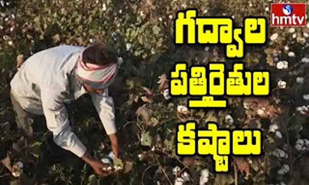 Gadwal District Cotton Farmers: గద్వాల పత్తి రైతుల కష్టాలు