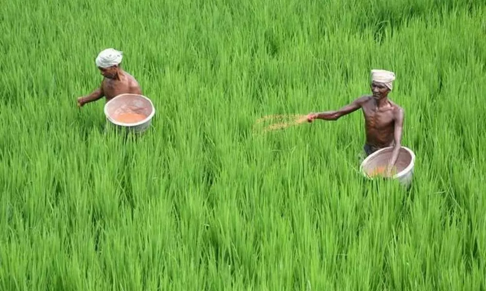 Agriculture Loan To 2.5 Crore Farmers : రైతులకు గుడ్ న్యూస్.. 4 శాతం వడ్డీకే చవక రుణాలు ఇస్తున్న కేంద్రం