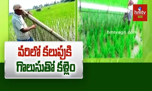 Weed Cutting Machine: కూలీ సమస్యను అధిగమించే ఉపాయం.. సులభంగా కలుపు నివారణకు పరికరం