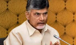 ప్రభుత్వం ఉండి ఉపయోగం ఏంటి? : చంద్రబాబు ప్రభుత్వం ఉండి ఉపయోగం ఏంటి? : చంద్రబాబు