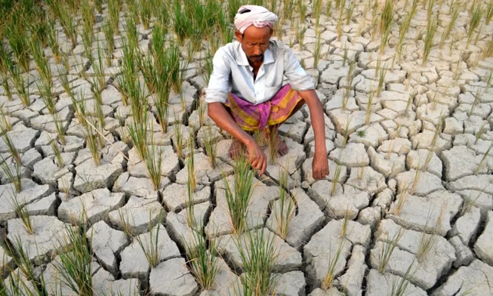 Farmers Facing Problems: కర్నూలు జిల్లా రైతులను వెంటాడుతున్న కష్టాలు