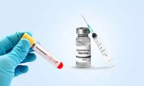 Coronavirus Vaccine: కరోనా వ్యాక్సిన్ ధర స్వల్పమే.. సీరంకు గేట్స్ ఫౌండేషన్ సాయం Coronavirus Vaccine: కరోనా వ్యాక్సిన్ ధర స్వల్పమే.. సీరంకు గేట్స్ ఫౌండేషన్ సాయం