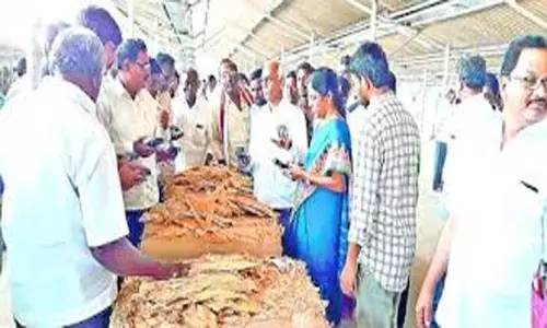 Tobacco Purchases: మార్క్ ఫెడ్ ఆధ్వర్యంలో పొగాకు కొనుగోళ్లు.. రైతుకు అందుతున్న గిట్టుబాటు ధర Tobacco Purchases: మార్క్ ఫెడ్ ఆధ్వర్యంలో పొగాకు కొనుగోళ్లు.. రైతుకు అందుతున్న గిట్టుబాటు ధర