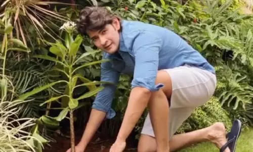 Mahesh Babu Birthday: మొక్కలు నాటి ఆ ముగ్గురిని నామినేట్ చేసిన మహేష్..