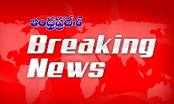 సృష్టి యూనివర్సల్ పసిపిల్లల అక్రమ రవాణా కేసు సృష్టి యూనివర్సల్ పసిపిల్లల అక్రమ రవాణా కేసు