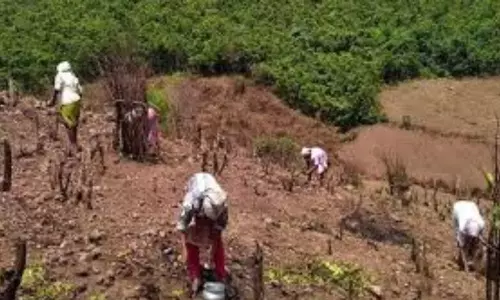 Distribution of RoFR postponed: కరోనా నేపథ్యంలో పట్టాల పంపిణీ వాయిదా.. అక్టోబరు 2న నిర్వహణ