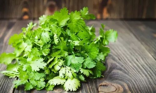 Benefits of Coriander: తరచుగా కొత్తిమీర తీసుకోవటం వల్ల కలిగే ప్రయోజనాలు..