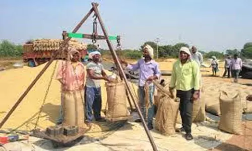 Rythu Bharosa Kendram: ఇక ధాన్యం కొనుగోలు ఆర్బీకే కేంద్రాల్లోనే.. ఏపీ ప్రభుత్వం యోచన