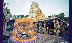 శ్రీశైలం మల్లన్న దర్శనానికి సర్వం సిద్దం! శ్రీశైలం మల్లన్న దర్శనానికి సర్వం సిద్దం!