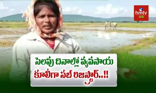 వ్యవసాయ కూలీగా సబ్ రిజిస్ట్రార్..!