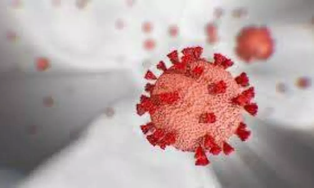 Coronavirus Effect: కేంద్ర ఆరోగ్య శాఖలో కరోనా కలకలం.. కీలక అధికారికి కరోనా పాజిటివ్..