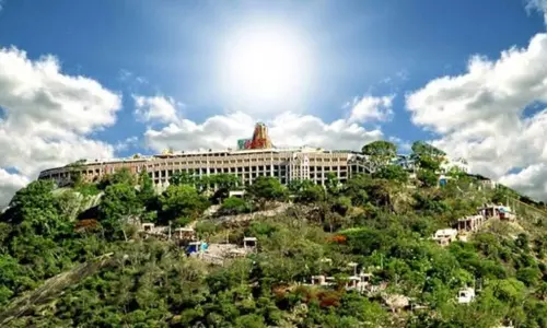 Palani Subramanya Swamy Temple : ఈ ఆలయాన్ని దర్శిస్తే ఆరోగ్యసమస్యలన్నీ మాయం