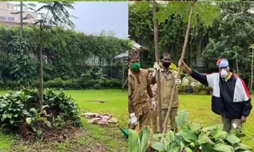 Amitabh Bachchan Plants A Tree : అమ్మ పేరుతో మొక్కను నాటిన అమితాబ్..