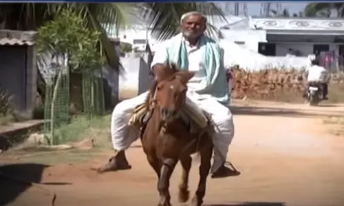 గణాధీషుడూ.. గుర్రపు స్వారీ !