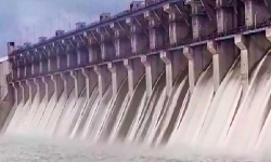 లోయర్ మానేరు డ్యాంలోకి కొనసాగుతున్న భారీ ఇన్ ఫ్లో లోయర్ మానేరు డ్యాంలోకి కొనసాగుతున్న భారీ ఇన్ ఫ్లో