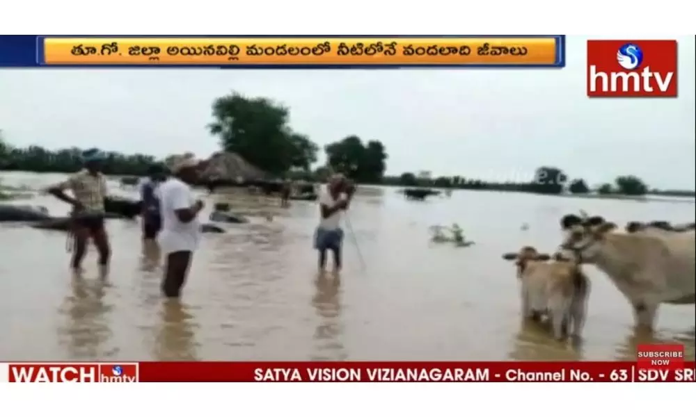 Animals Strucked In Godavari Floods: గోదావరిలో చిక్కుకున్న మూగ జీవులు