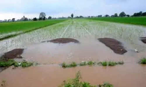 Floods in AP: పంట నష్టం 20వేల హెక్టార్ల పైమాటే.. యుద్ధప్రాతిపదికన విద్యుత్ పునరుద్ధరణ