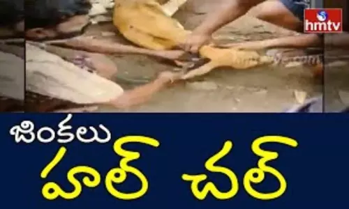 Floods in AP: నీటి ప్రవాహానికి గ్రామంలోకి వచ్చిన జింకలు