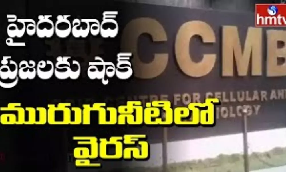 CCMB Latest Report: మురుగునీటిలో వైరస్