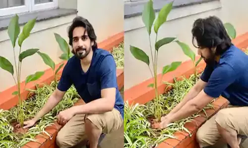 Hero Sushanth Accept Green India Challenge: గ్రీన్ ఇండియా ఛాలెంజ్ లో హీరో సుశాంత్