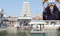 Kanipakam Special worships: కాణిపాకం ఆలయంలో ప్రత్యేక పూజలు Kanipakam Special worships: కాణిపాకం ఆలయంలో ప్రత్యేక పూజలు